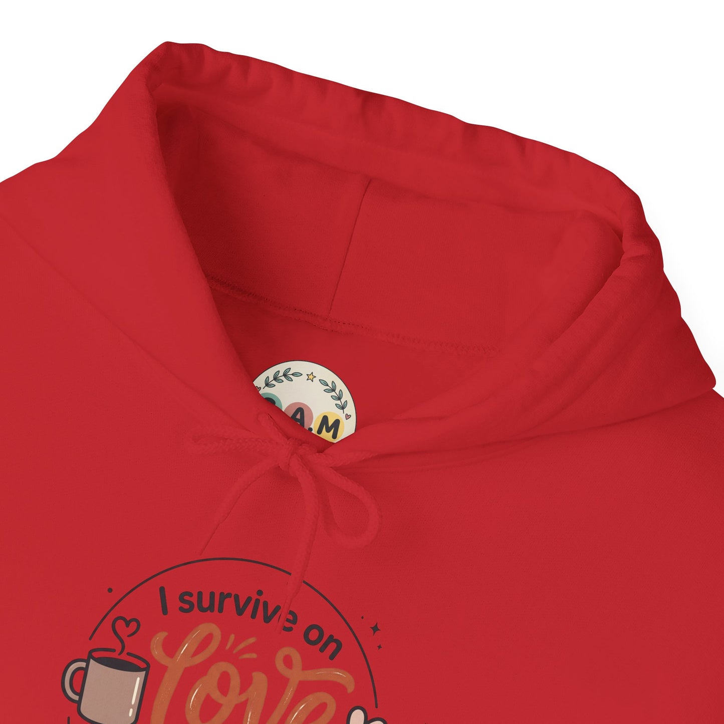 I Survive on Love and Reheated Coffee Hoodie