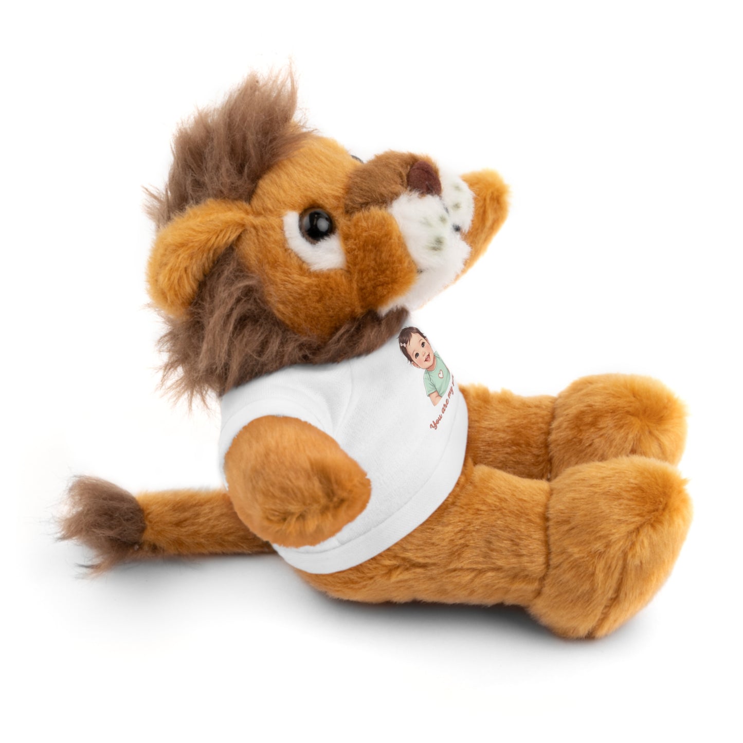 Baby Girl Stuffies with 'You are my sunshine' Tee