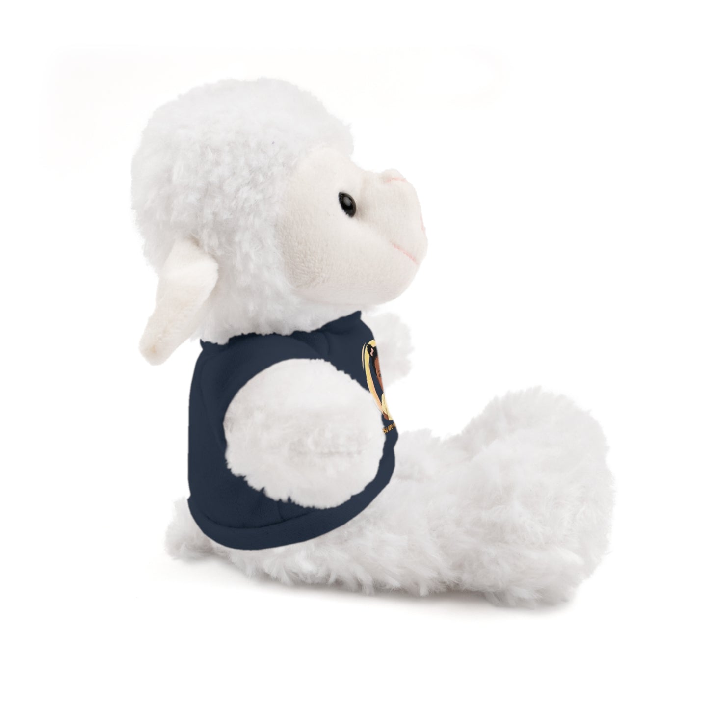 Baby Girl Stuffies with 'You are my sunshine' Tee