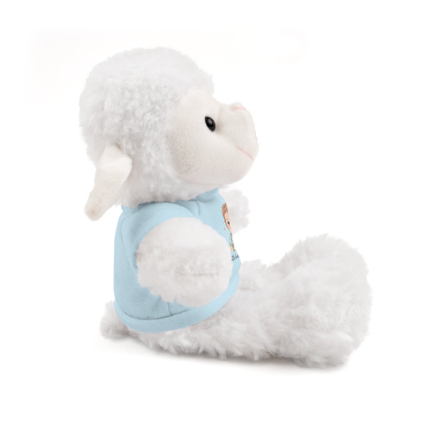 Baby Boy Stuffies with 'Little loved, big smile' Tee