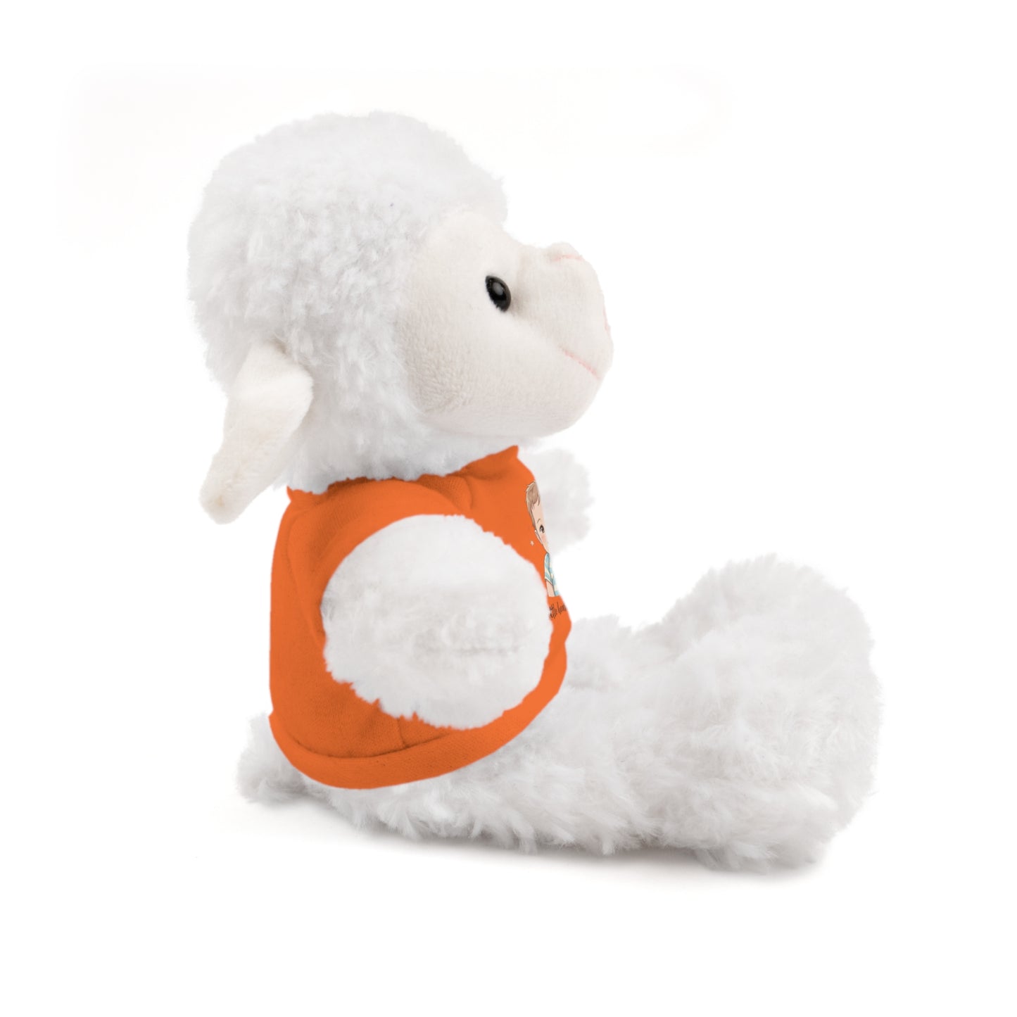 Baby Boy Stuffies with 'Little loved, big smile' Tee
