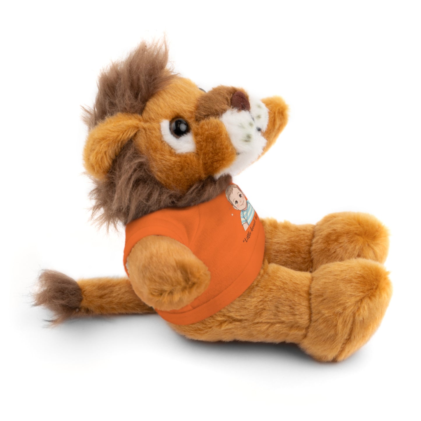 Baby Boy Stuffies with 'Little loved, big smile' Tee