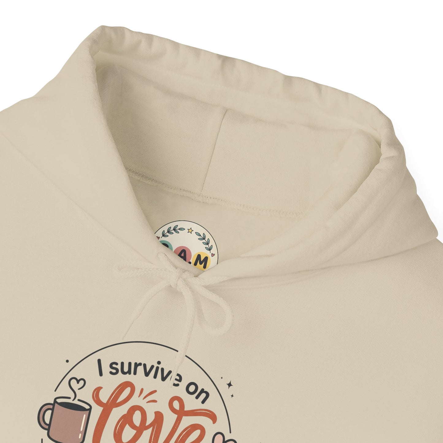 I Survive on Love and Reheated Coffee Hoodie