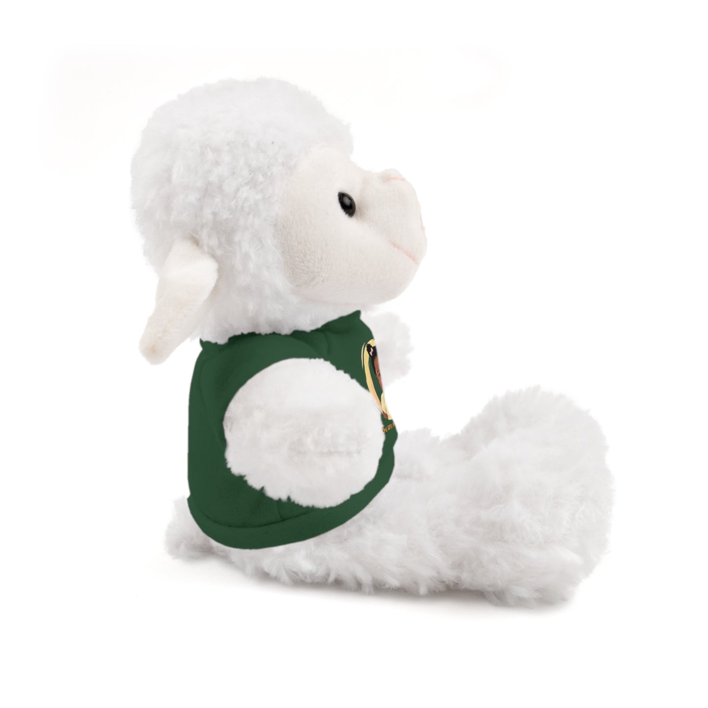 Baby Girl Stuffies with 'You are my sunshine' Tee