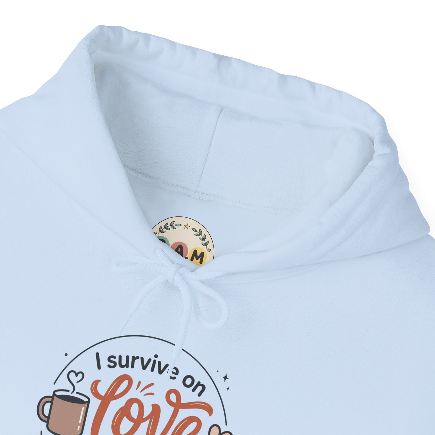 I Survive on Love and Reheated Coffee Hoodie