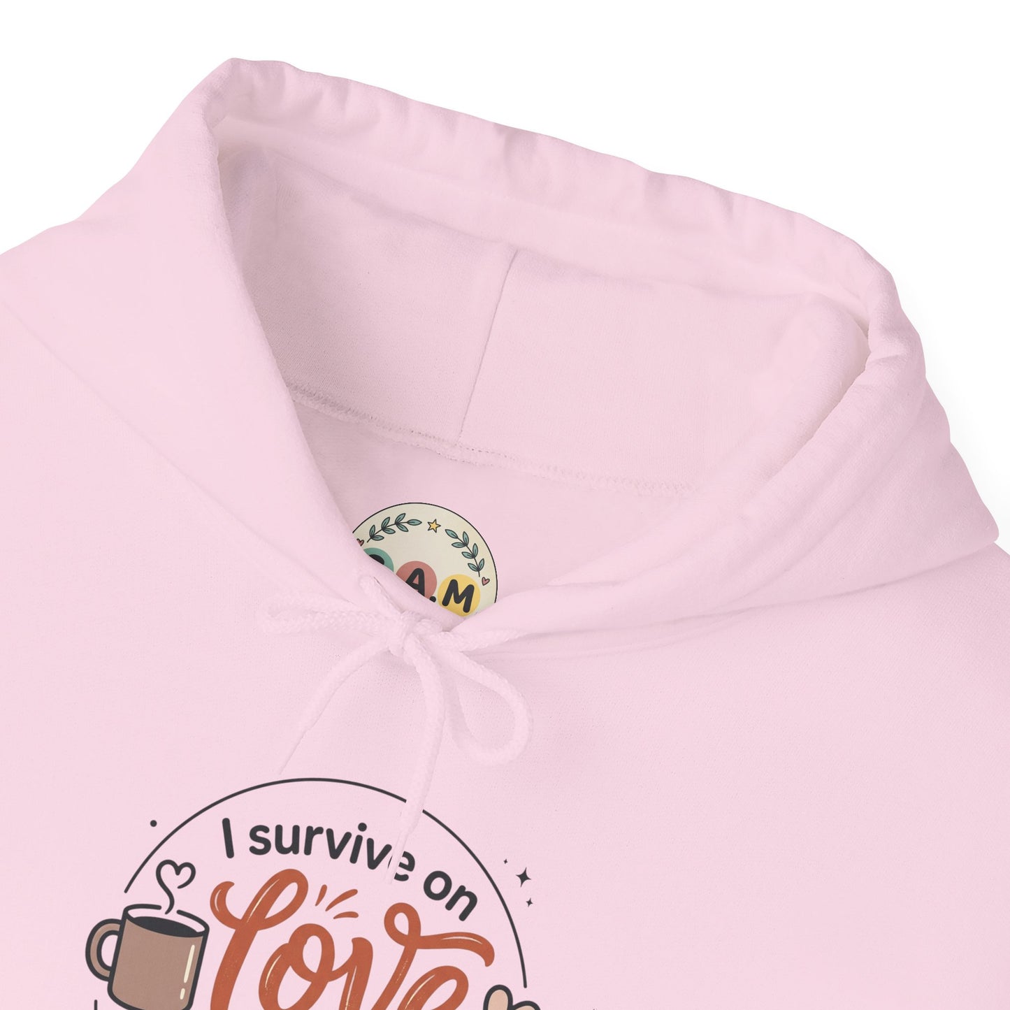 I Survive on Love and Reheated Coffee Hoodie