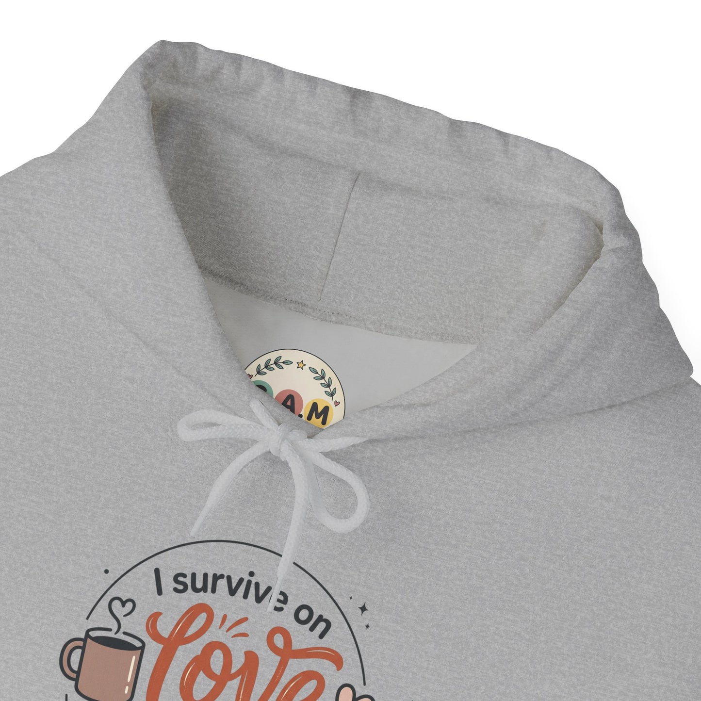 I Survive on Love and Reheated Coffee Hoodie