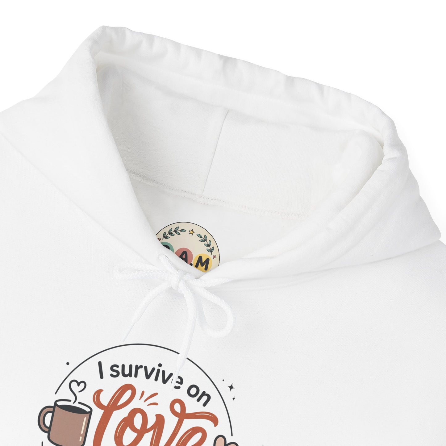 I Survive on Love and Reheated Coffee Hoodie